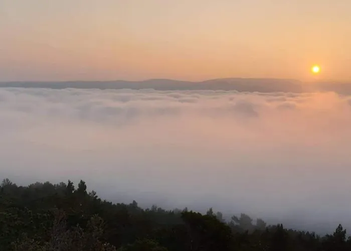 Flanona 3* プロミン