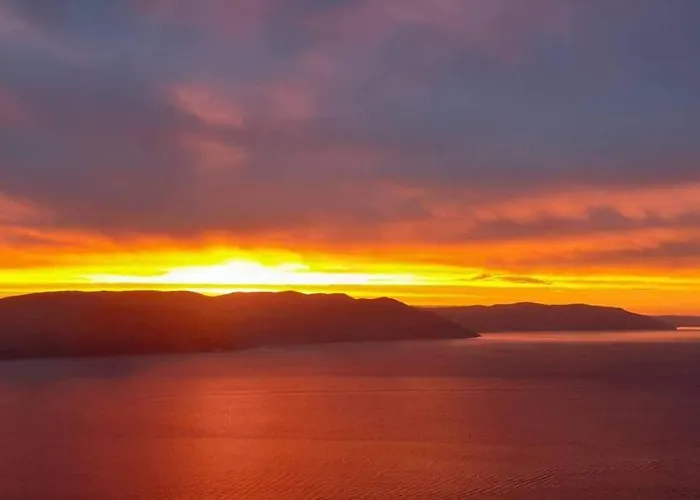 Flanona プロミン